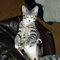 Copy_of_pa120046_thumb