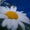 11b19d1d669e587d2bcb44b47c8b961718051700_thumb