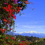 Dsc04777_large