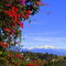 Dsc04777_thumb