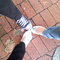 01c5fb76c84c560e51ccb3f58aab8e2298ab2926_thumb