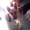 5c279acc18987da2ffc12e362e545e073b03e1b9_thumb