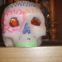 Dscf2436_large