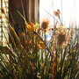 Img_0504_large