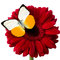 26437d913456af620a421ccc5bf36da482701854_thumb