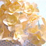 Jc_daffodils02_large