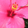 70b17c3e66496587f50fa2d8c2eaf9ab09b952fd_large