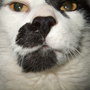 Dscf2157_large