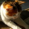 E9d31058ca456e4ccfbd7a25920449ac6ca9518a_thumb