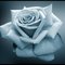 D296dce05823c4dcbe1ca7fb2ee9108169d7d6f4_thumb