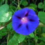 4db1fc9c99593d5bf9cd759e031439c9d00a492a_large