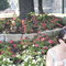 Crw_2938_thumb