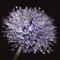 Image024_thumb