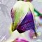 5b7154c289a4bf4a8c22773a451b1e6779afd288_thumb