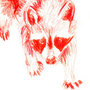 Racoon_large