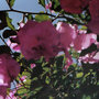 4f194ac28144ee368da9aae74c97dd657ef2d0ec_large