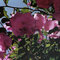 4f194ac28144ee368da9aae74c97dd657ef2d0ec_thumb