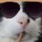 41760_100000727206985_3091_q_thumb