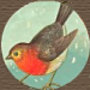 Fripperie_cigarboxbird_avatar_large