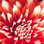 407ff9e02e1508b6df4cf8a95ede2a247400be7c_large