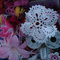 Dsc07287_thumb