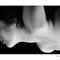 Fly_small_thumb