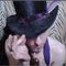 C36961e1262b4ffe83980769a0cb5e6ba376714d_thumb