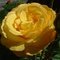 8d0f6ac17adba4cdf2be132a2f07374e628ffc62_thumb