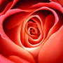 B04e4e32bd4455112291016cdb86aeb44b94a3f7_large