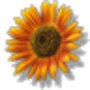 3c4a6d7ab4563fa214016ea915c7e2ce89d3dd27_large