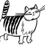 Striped_cat2_large