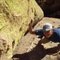 Cochise_pitch4_100h_thumb