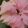 P5074179_large