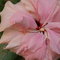P5074179_thumb