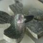 2689473177_1f3dbb9e39asmall_large
