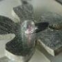 2689473177_1f3dbb9e39asmall_large