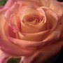 Imag0112_large