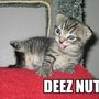 Deeznuts_large
