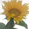 069_thumb