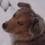 Dscn9634_large
