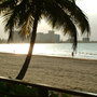 Dscf0001_large