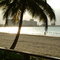 Dscf0001_thumb
