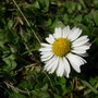 Dscn0903_large