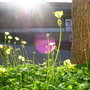 Dscn9430_large