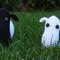 Bothsheepfront_thumb