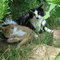 Dscn1021_thumb