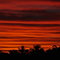 Dsc_0023_thumb