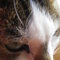 Img_7422_thumb