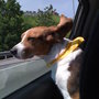 Iphone_040_large