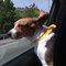 Iphone_040_thumb